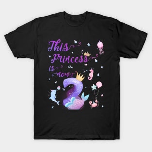 This Princess Is Now Two Years Old 2nd Cute Girl Birthday T-Shirt